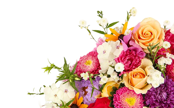 hero_section_image_of_flowers
